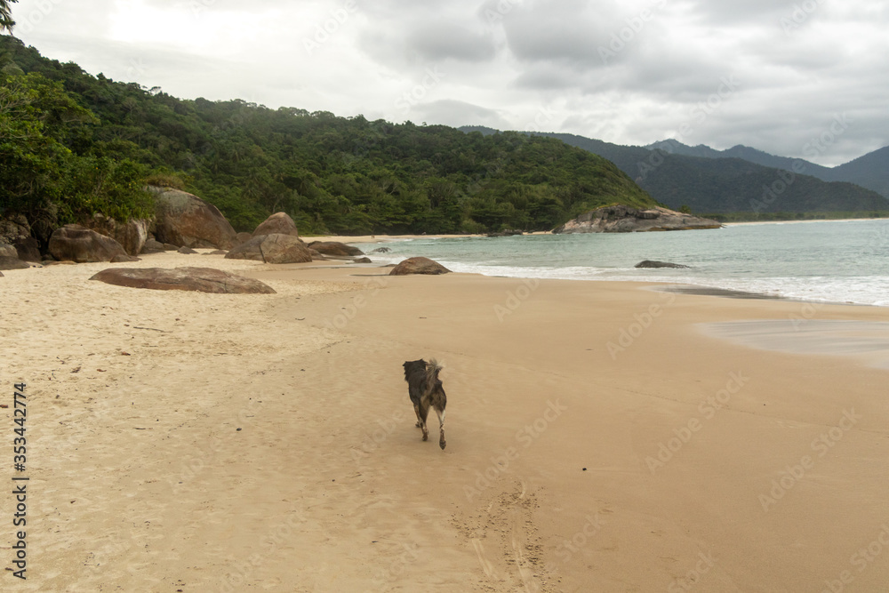 aventureiro
ilha grande
angra dos reis
rio de janeiro aventureiro
ilha grande
angra dos reis
rio de janeiro
