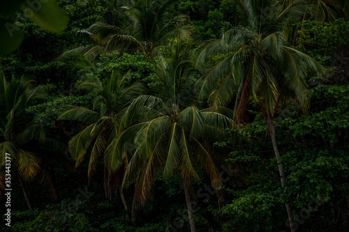 aventureiro  ilha grande angra dos reis  rio de janeiro