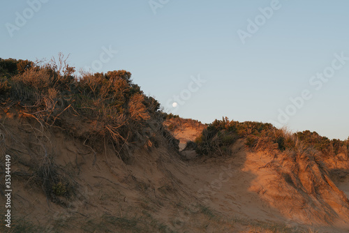 Moonrise over the sand dunes 