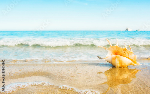 Summer sea background