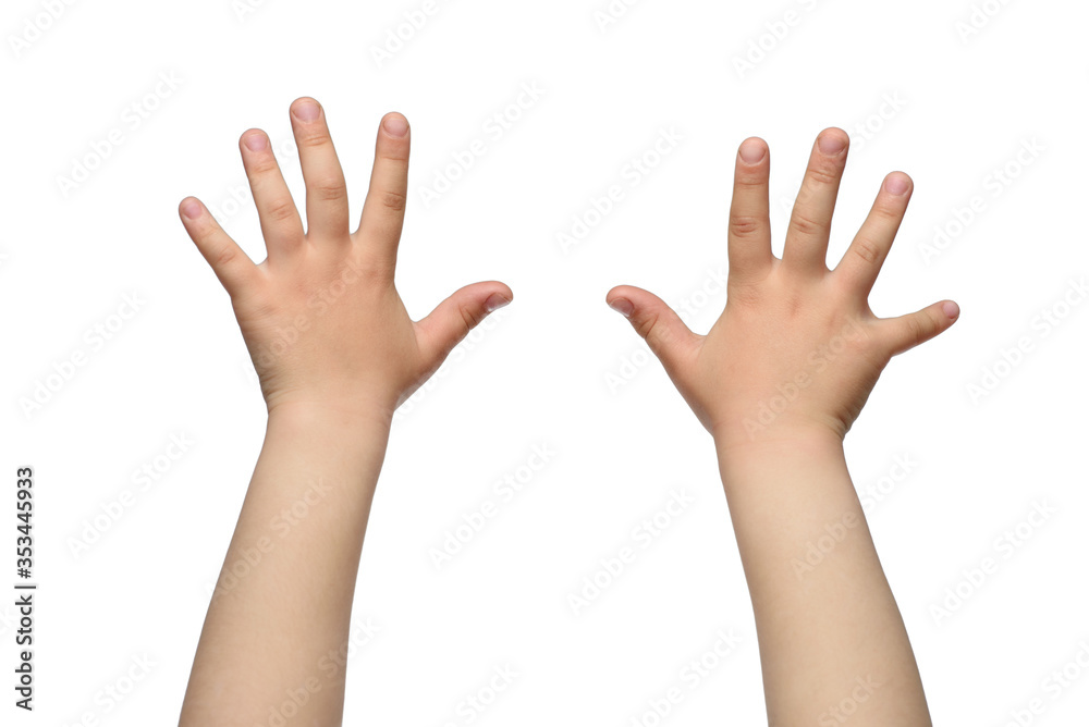 Two child hands. Isolated on white Two child hands. Isolated on white