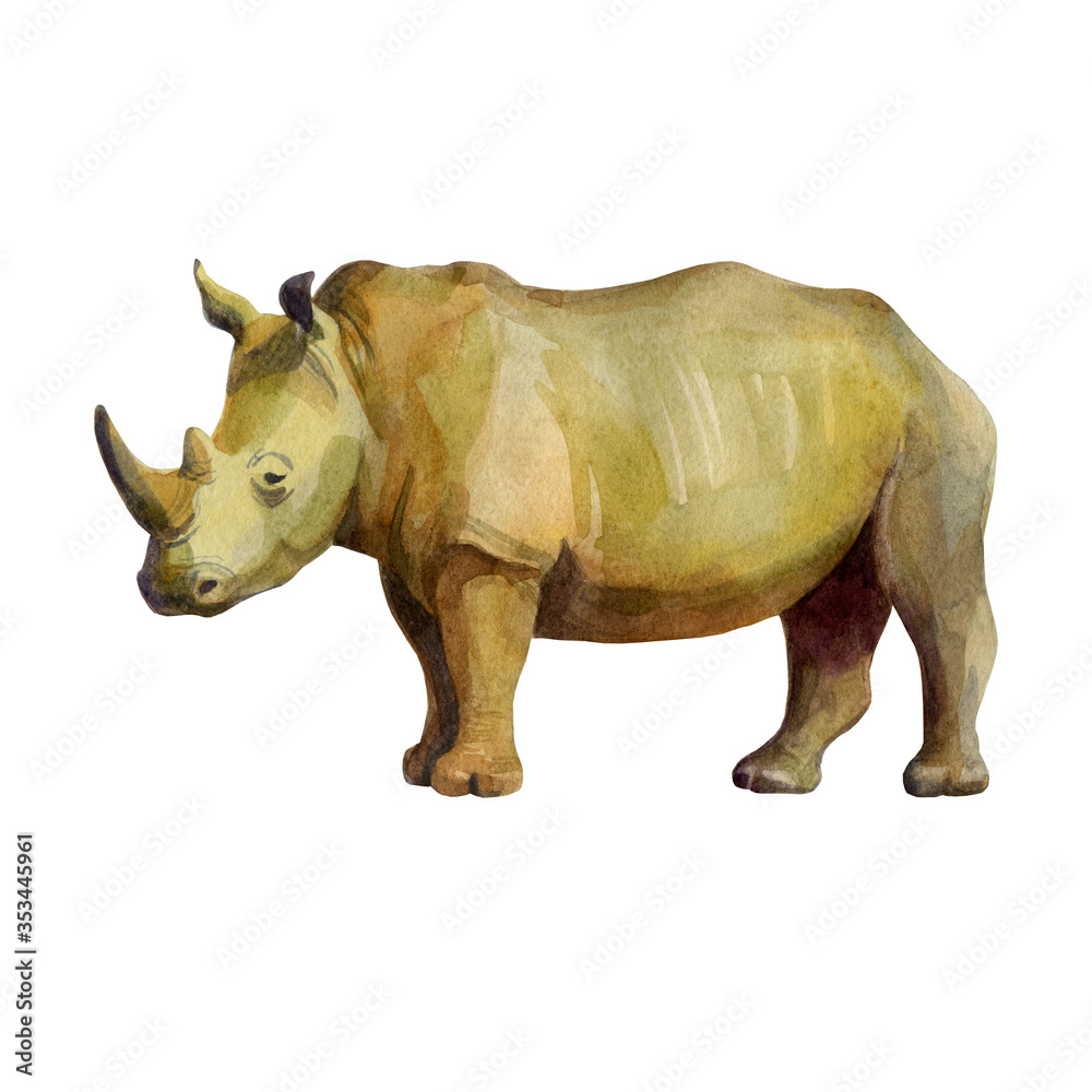 Obraz premium Watercolor illustration, rhino. Isolated freehand drawing of a rhino on a white background.