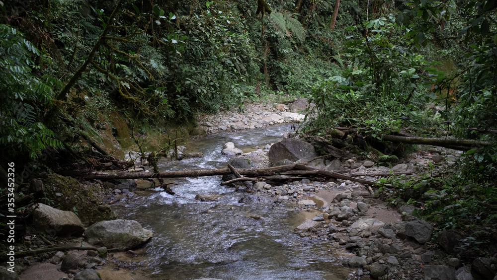 Little river inside of Podocarpus National Park, Ecuador
