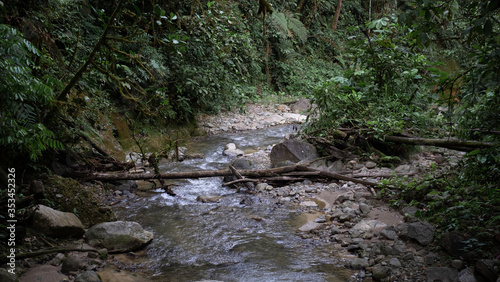 Little river inside of Podocarpus National Park, Ecuador photo