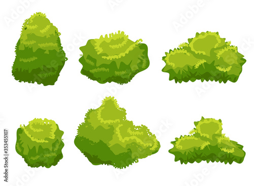 Vector garden bush isolated shrub hedge. Green bush cartoon grass shrubbery plant.
