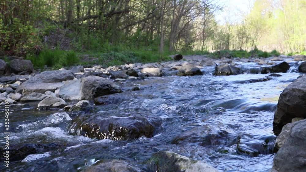 river in the woods. stones and water stream. River in mountain river in the woods. stones and water stream. River in mountain