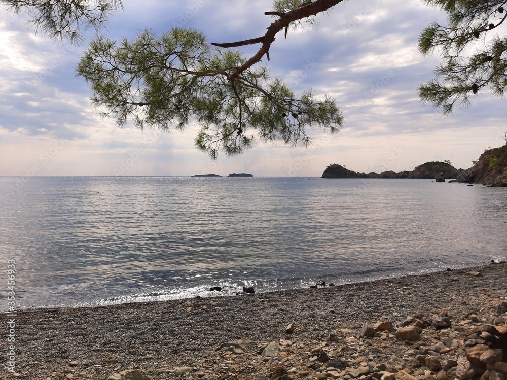 Calm Mediterranean coast of the sea during the day with branch Calm Mediterranean coast of the sea during the day with branch
