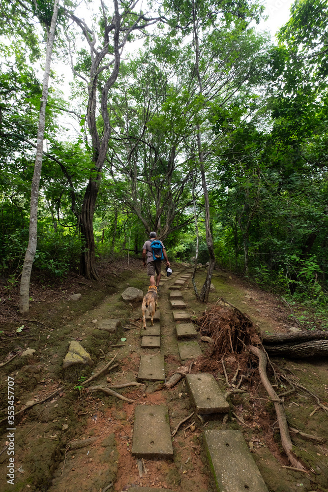 Obraz premium Visitor with dog on the trail at Puganyo Petrified Forest, Ecuador