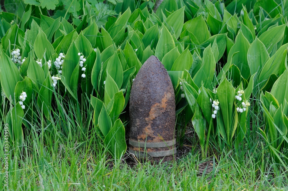Spring. May. Old rusty artillery shell of the times of the second world war among blooming lilies of the valley Spring. May. Old rusty artillery shell of the times of the second world war among blooming lilies of the valley