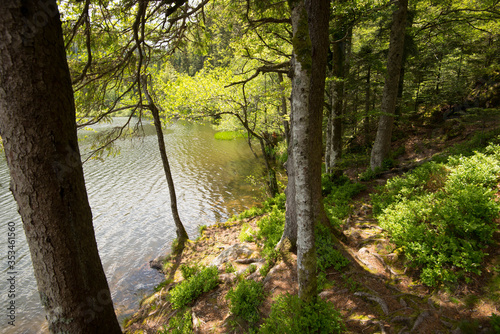 Lac de Retournemer in den Vogesen