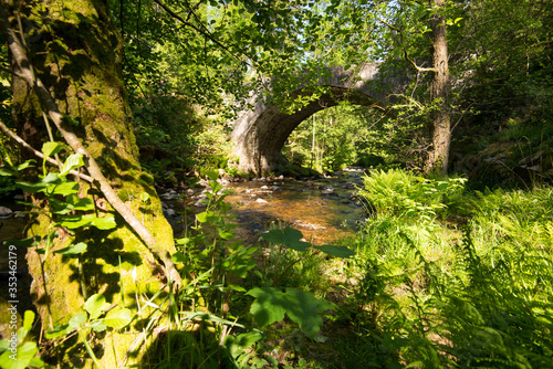 Saut des cuves bei Xonrupt Longemer in den Vogesen