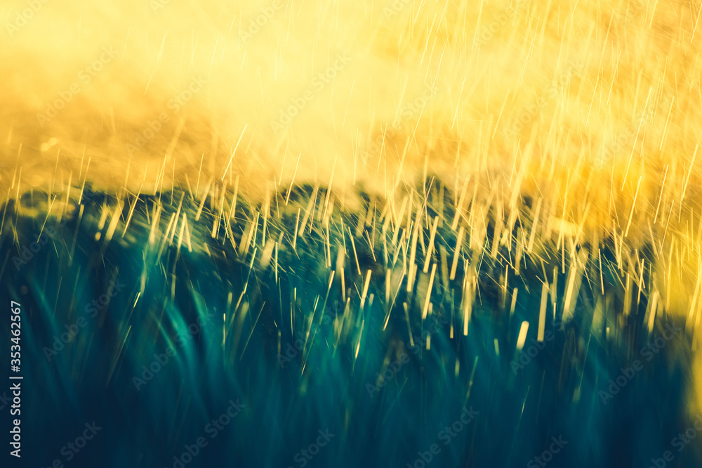 Details 100 automatic blur background Abzlocal.mx