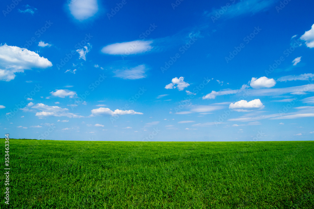 Green field. Blue sky and white clouds. Good weather.