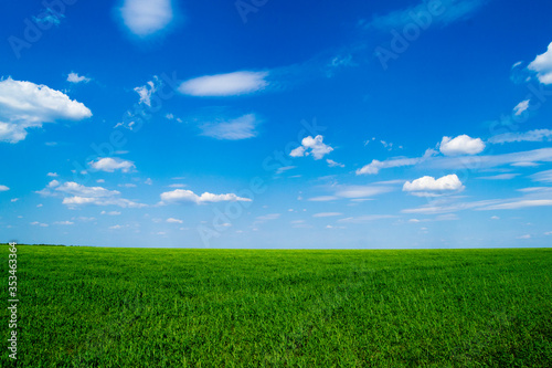 Green field. Blue sky and white clouds. Good weather.