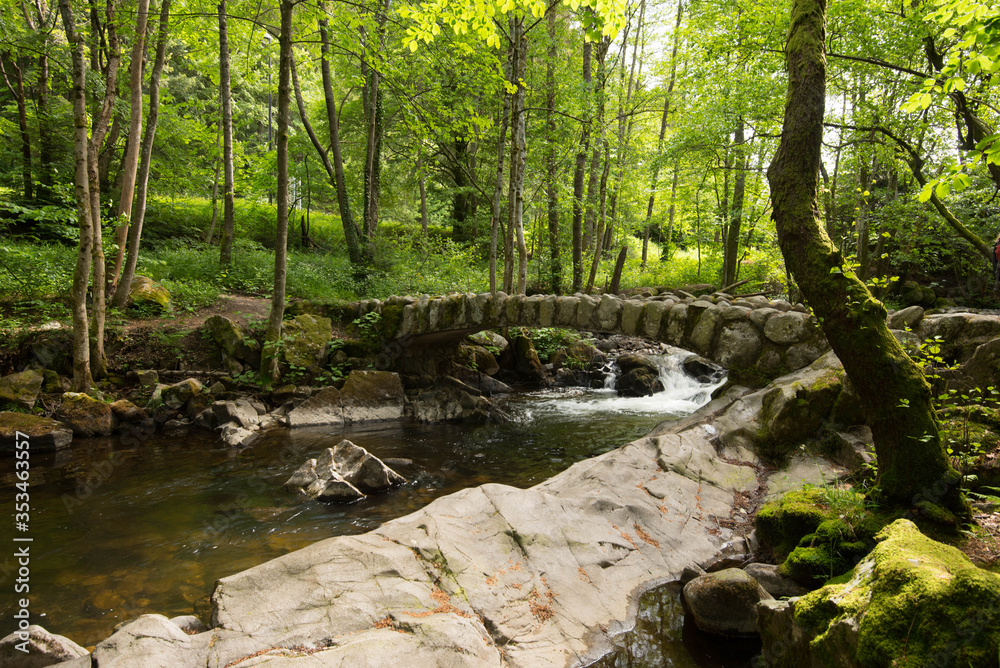 Naklejka premium Saut des cuves bei Xonrupt Longemer in den Vogesen
