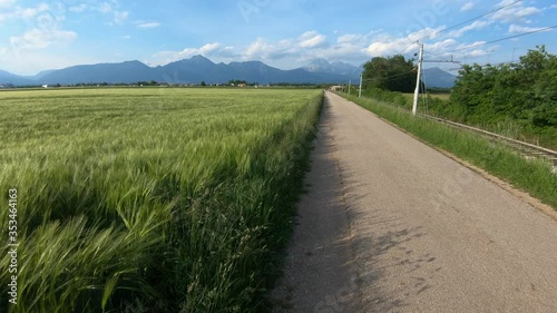 Walking on countryside narrow asphalt road. Farming field covered with green young wheat. Railroad tracks on right side. Flatland basin. Alps mountains in background. Wide shot, forward dolly moving photo