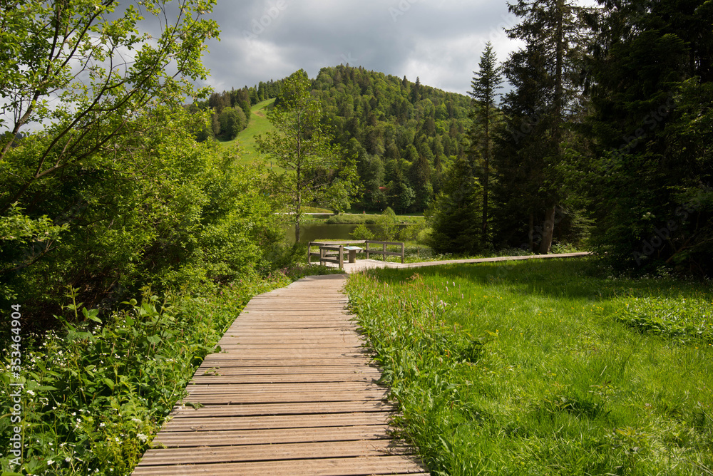 Holzsteg um den Moorsee Lac de Lispach in den Vogesen