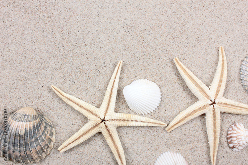 Two starfishes, different seashells and stones on the sand. Travel and tourism. Summer vacation concept. Top view. Cope space.