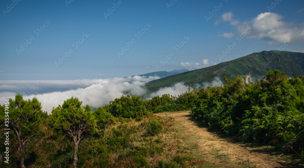 Scenic view from hiking trail. Walk in the clouds  Maderia Island, Portugal 2018. 
