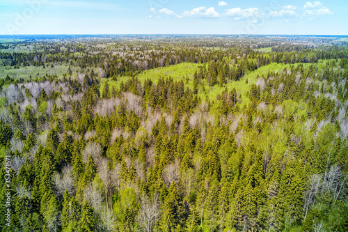 Woodland aerial panoramic l...