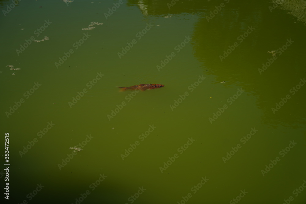 Quinta de Pesca do Marqês de Pombal