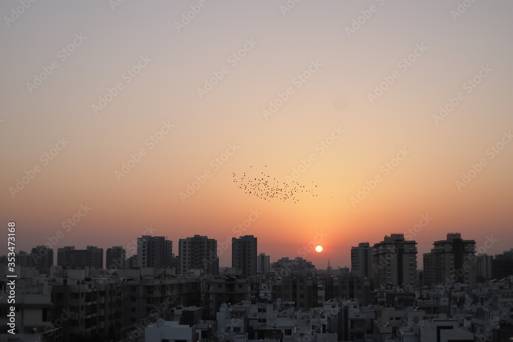 Birds flying in the sky. bird with sky view over city of India. sunrise & sunset view on city with Birds. Migratory birds flying in the cloudy sunset sky. 
