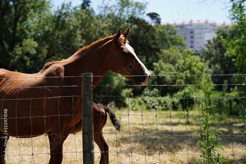 Quinta de Pesca do Marqês de Pombal