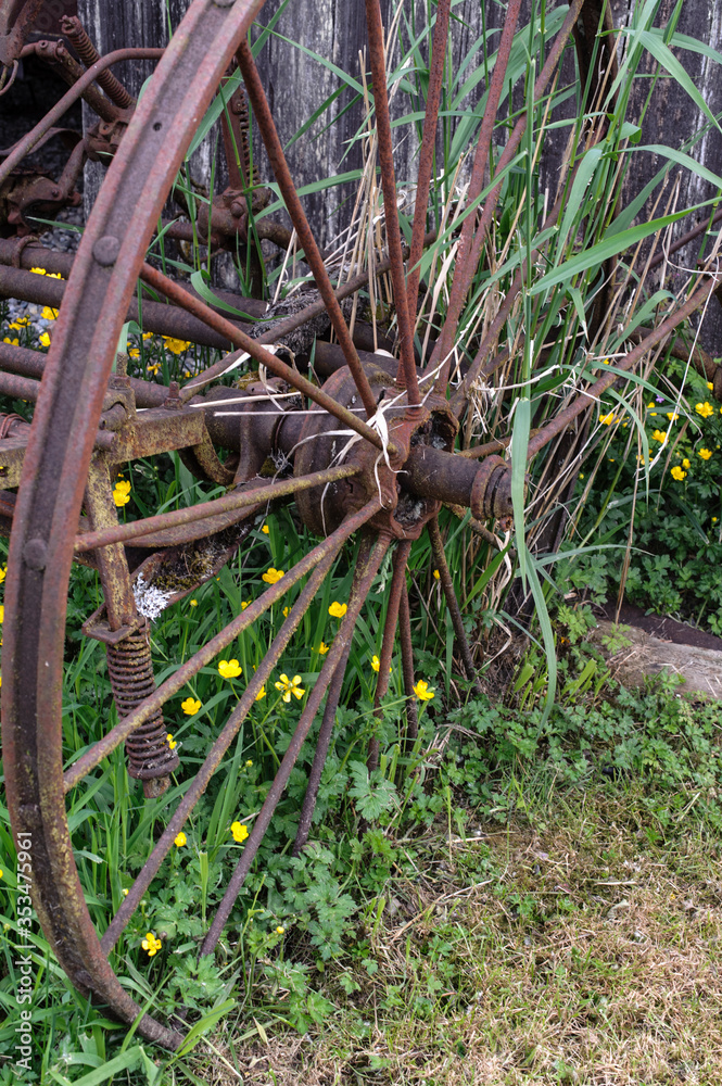 Old farm machinery wheel is encased in rust Old farm machinery wheel is encased in rust