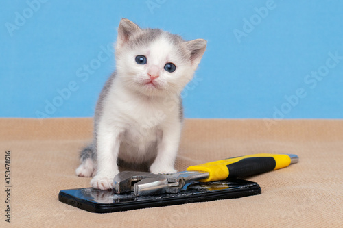 Small kitten near a broken phone and wrench. Mobile phone repair photo