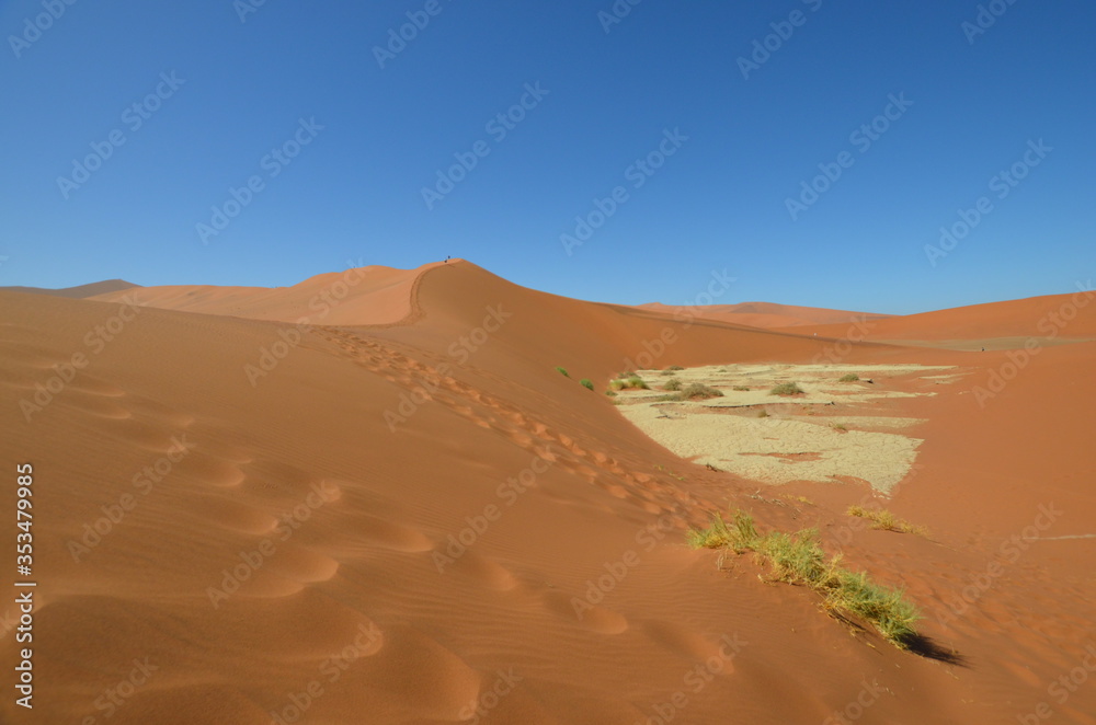 Desert of Namibia