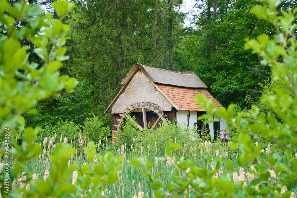 An old historical watermill in the woods 