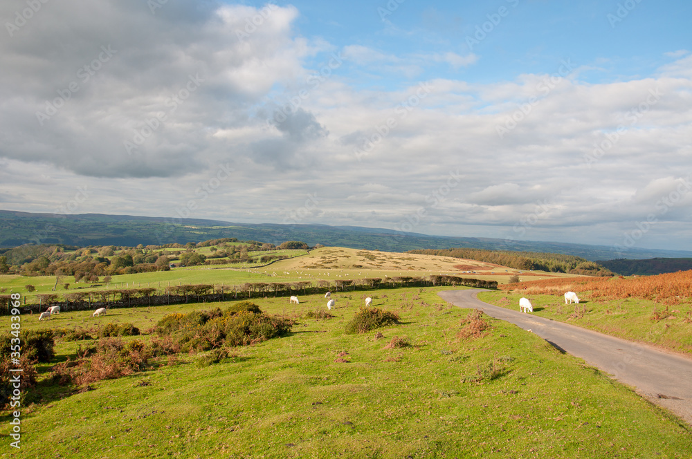 Mountain road in the Black mountains of England and Wales. Mountain road in the Black mountains of England and Wales.