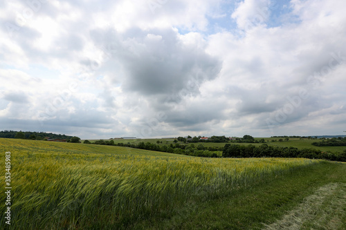 Summer landscape with cereal fields on a cloudy day