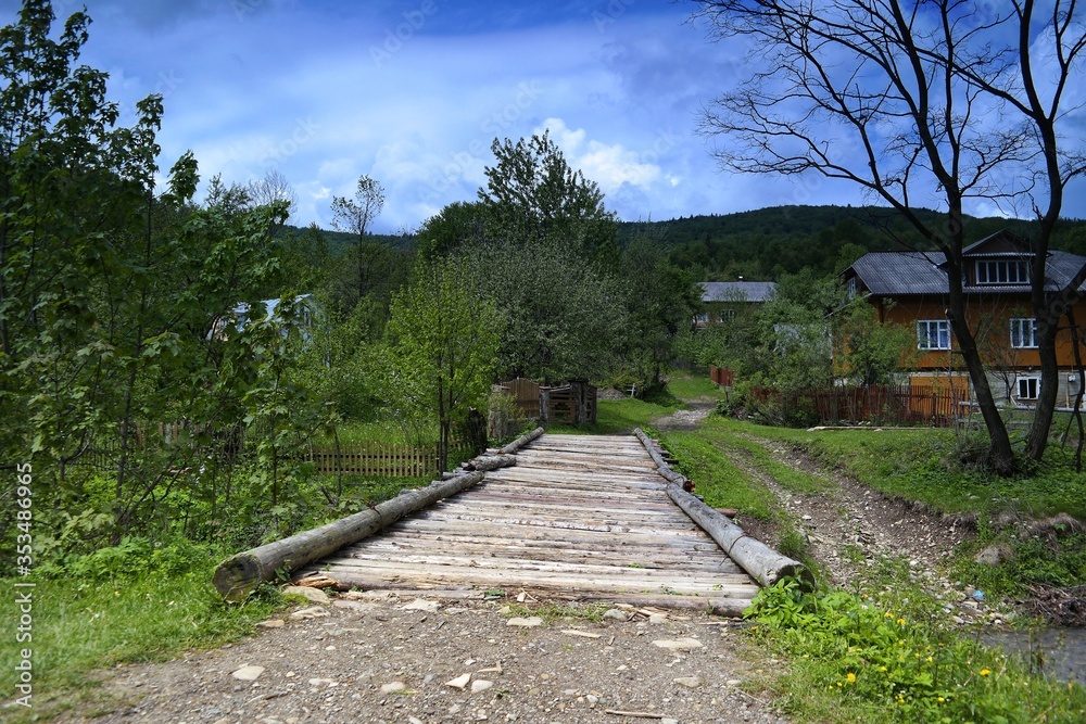 Obraz premium path in the park