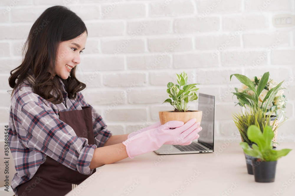 Young Asian woman learning online about take care small tree use spray bottle foggy watering small tree on the table at home. Young Asian woman learning online about take care small tree use spray bottle foggy watering small tree on the table at home.
