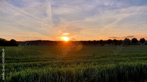 sunset over agricultural fields near Bergheim © were