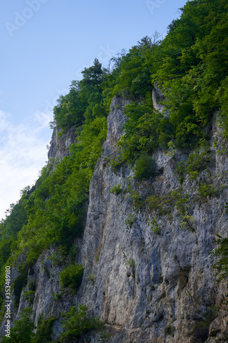 Old cliff in a mountain forest