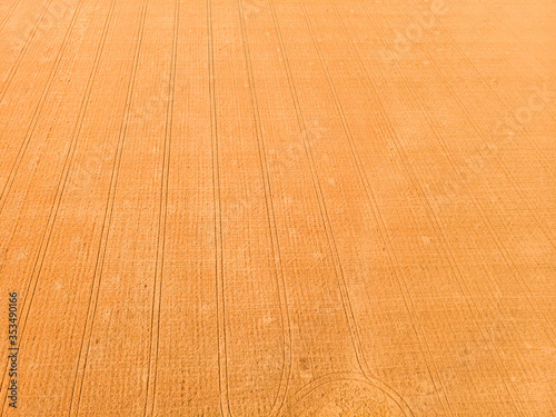 Aerial view of wheat field with tractor tracks. Farm from drone view.