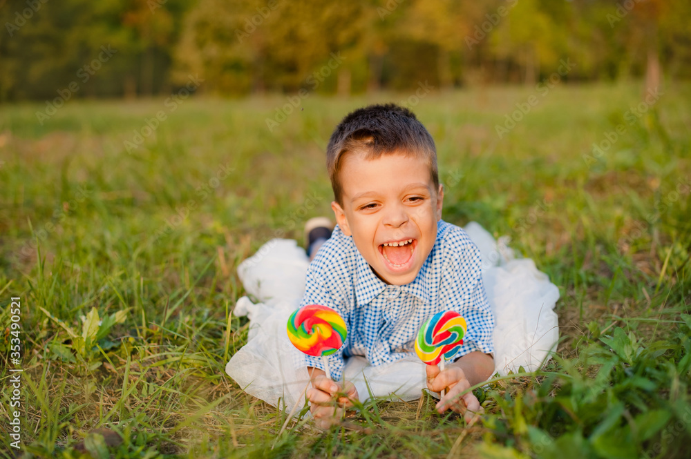 custom made wallpaper toronto digitalJoyful boy of 6 years with candy. The cheerful child lies on a green grass in the summer with a bright big candy on a stick.
