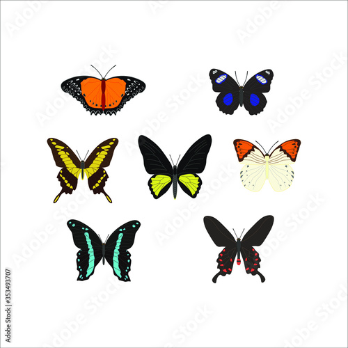 collection of different butterfly. illustration for web and mobile design.
