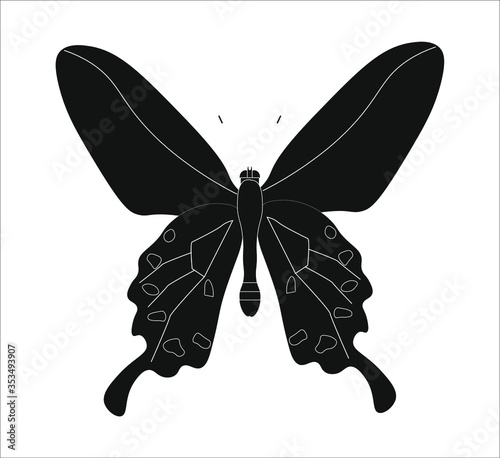 pachliopta kotzebuea butterfly. illustration for web and mobile design.