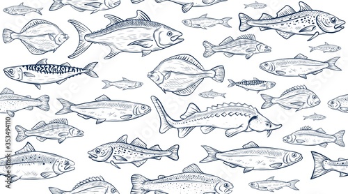 Vector sketch illustration of fresh sea fishes drawing isolated on white. Engraved style. natural business. Vintage, retro  object for menu, label, recipe, product packaging