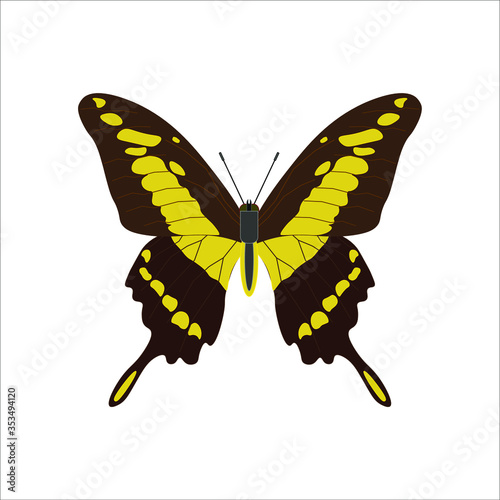 Papilio thoas butterfly. illustration for web and mobile design.