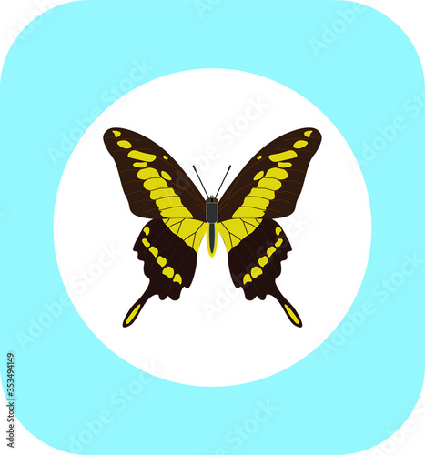 Papilio thoas butterfly. illustration for web and mobile design.