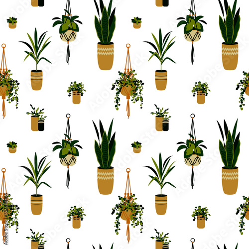 Home plants seamless pattern. Vector illustration. Tropical seamless pattern