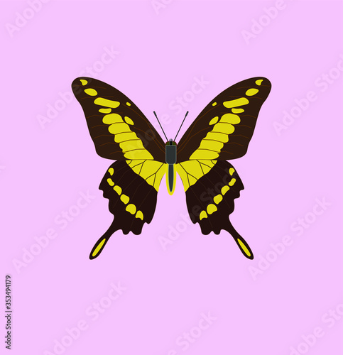 Papilio thoas butterfly. illustration for web and mobile design.