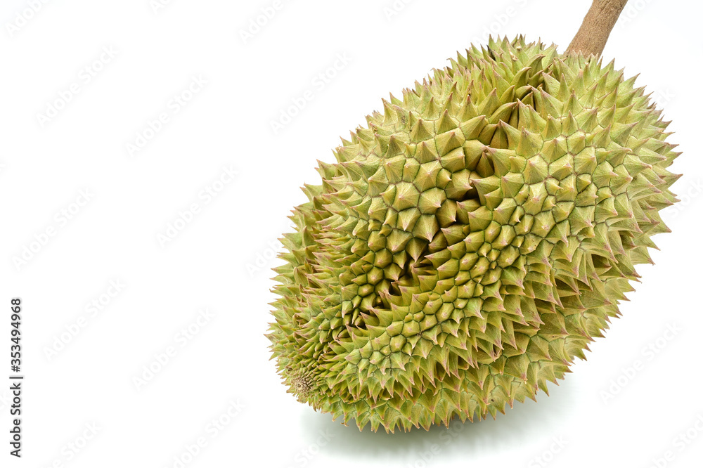 Durian, a hard-shelled fruit with green thorns and when ripe, it has a yellowish-green or brown. King of famous fruit in Thailand and Southeast Asia. Delicious sweet flavor. Closeup isolated on white. Durian, a hard-shelled fruit with green thorns and when ripe, it has a yellowish-green or brown. King of famous fruit in Thailand and Southeast Asia. Delicious sweet flavor. Closeup isolated on white.