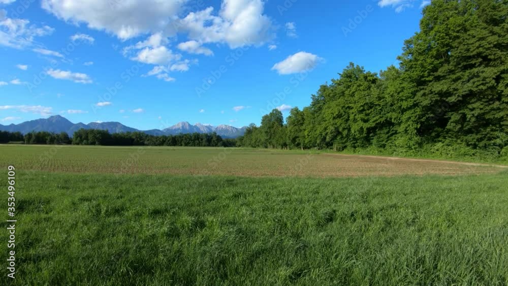 Farming field covered with grass besides green forest on bright sunny day. Alps mountains range in distance. Wide shot. left truck parallel moving Farming field covered with grass besides green forest on bright sunny day. Alps mountains range in distance. Wide shot. left truck parallel moving