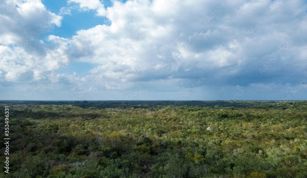 View of a big tropical forest from the top of a pyramid in Coba, Quintana Roo, Mexico.