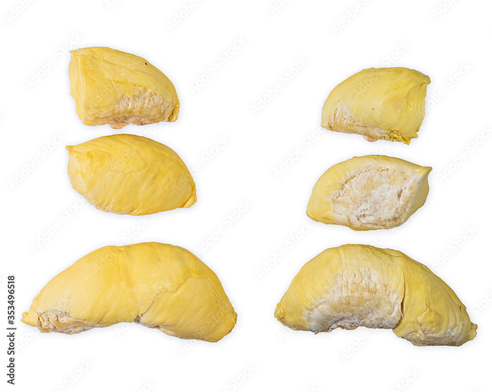 Durian fruit on a white background. Embedded with path For easy editing Durian fruit on a white background. Embedded with path For easy editing